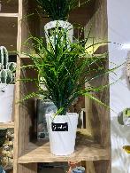 Plante décorative  Herbe décorative artificiel